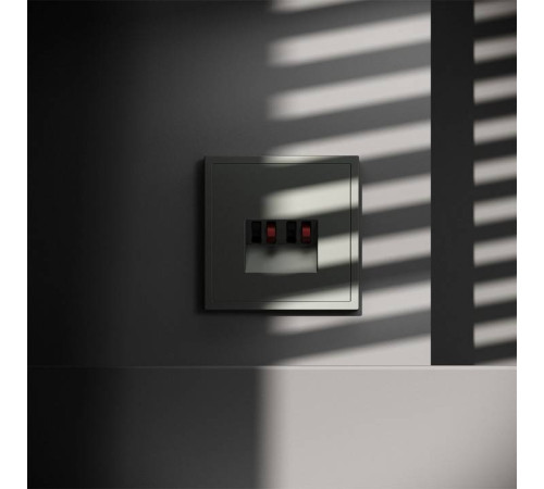 Розетка акустическая без рамки Voltum S70 VLS060306