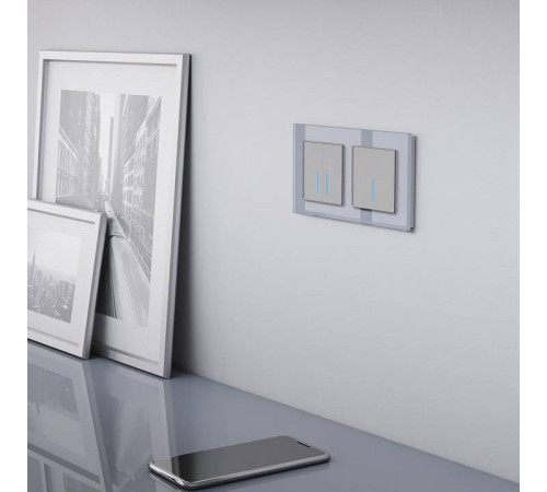Выключатель сенсорый одноклавишный с подсветкой и функцией Wi-Fi, без рамки Werkel Серебряный W4510606