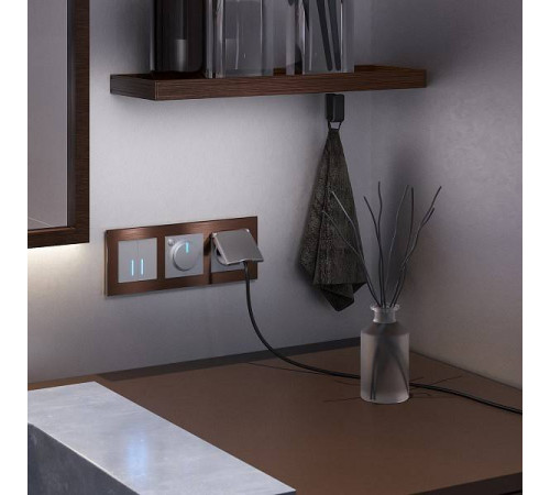 Выключатель сенсорый двухклавишный с подсветкой и функцией Wi-Fi, без рамки Werkel Серебряный W4520606