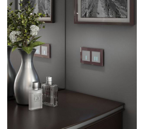 Выключатель сенсорый двухклавишный с подсветкой и функцией Wi-Fi, без рамки Werkel Серебряный W4520606