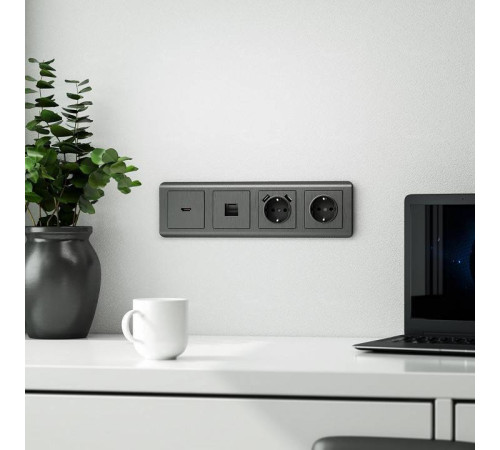 Накладка для розетки с заземлением и 2хUSB Werkel графит рифленый W1179504