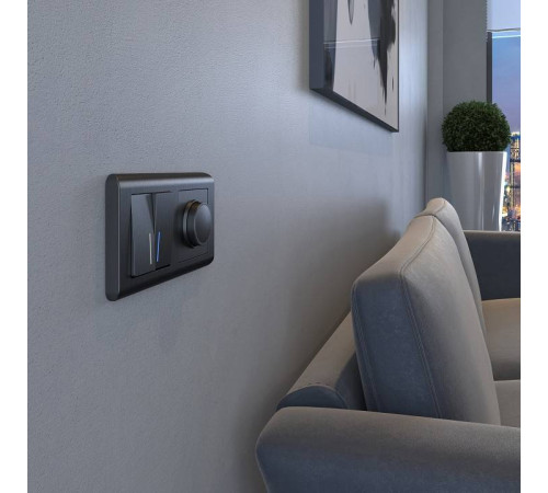 Выключатель двухклавишный с подсветкой без рамки Werkel графит рифленый W1120104