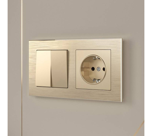 Выключатель проходной двухклавишный без рамки Werkel шампань W1122011