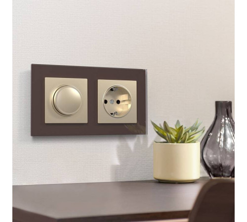 Розетка с заземлением, без рамки Werkel W117 8 W1171011