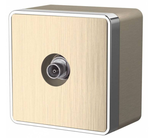 ТВ-розетка оконечная без рамки Werkel Шампань рифленый W5083010