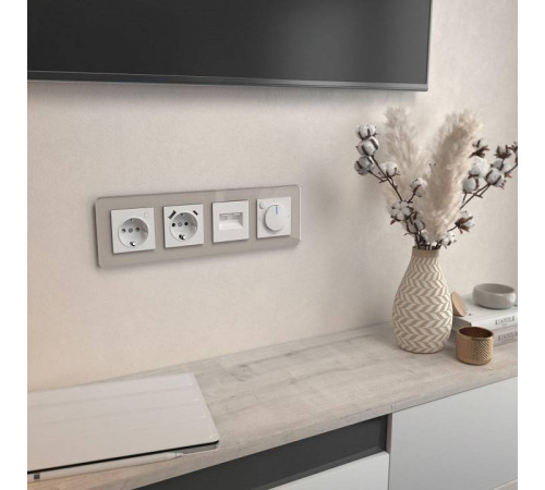 Рамка на 4 поста Werkel Elite (дымчатый, стекло) W0042417