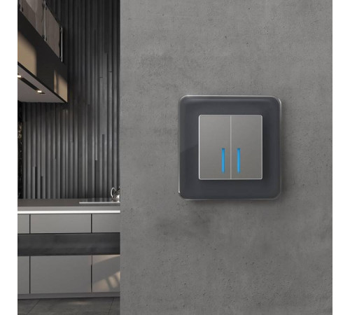 Рамка на 1 пост Werkel Elite (графит, стекло) W0012440