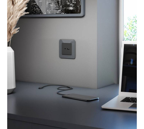 Рамка на 1 пост Werkel Elite (графит, стекло) W0012440