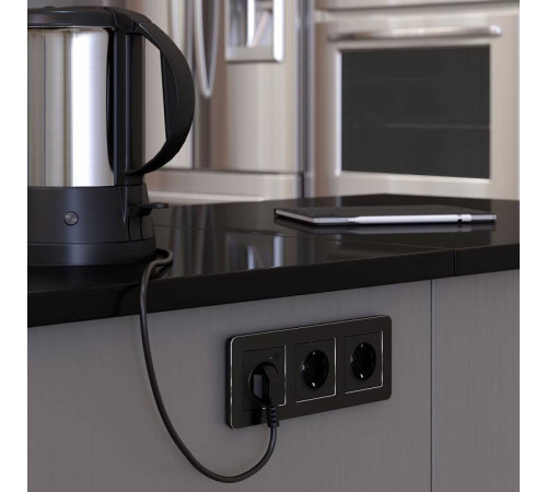 Рамка на 3 поста Werkel Platinum черный W0032608