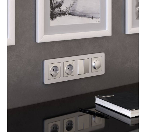 Рамка на 4 поста Werkel Platinum алюминий W0042606