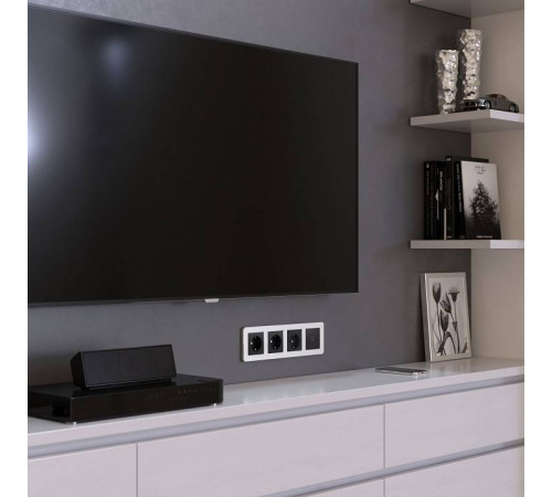 Рамка на 4 поста Werkel Platinum алюминий W0042606