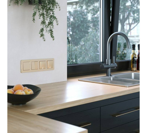 Рамка на 4 поста Werkel Platinum шампань W0042611