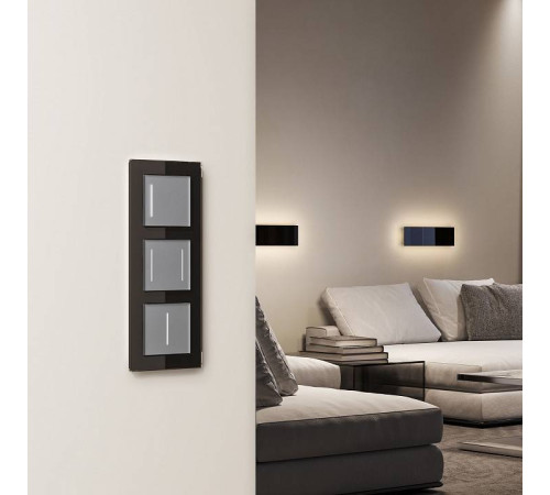 Выключатель сенсорый одноклавишный с подсветкой и функцией Wi-Fi, без рамки Werkel серебряные W4513006