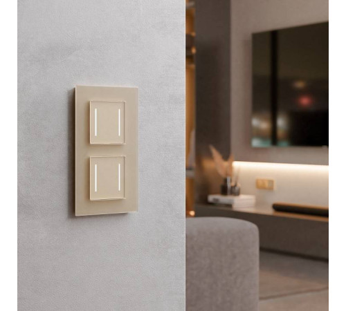 Выключатель сенсорый двухклавишный с подсветкой и функцией Wi-Fi, без рамки Werkel шампань W4523011