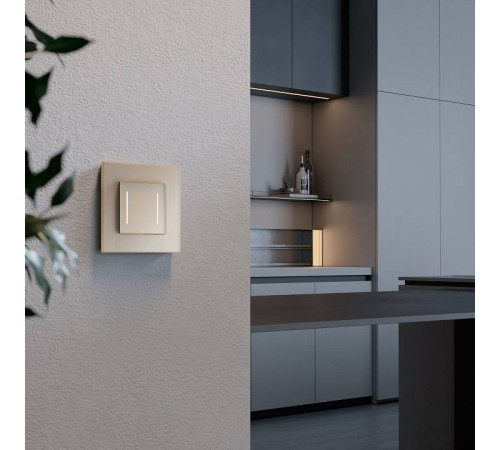 Выключатель сенсорый двухклавишный с подсветкой и функцией Wi-Fi, без рамки Werkel шампань W4523011