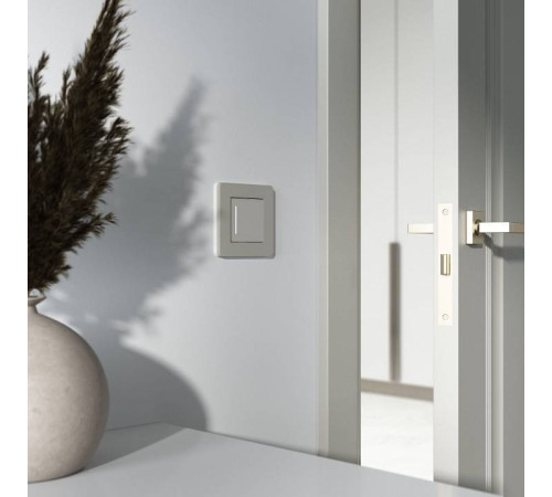 Выключатель одноклавишный с подсветкой без рамки Werkel дымчатый W4512014