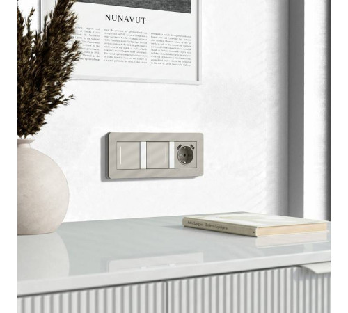 Выключатель двухклавишный с подсветкой без рамки Werkel дымчатый W4522014