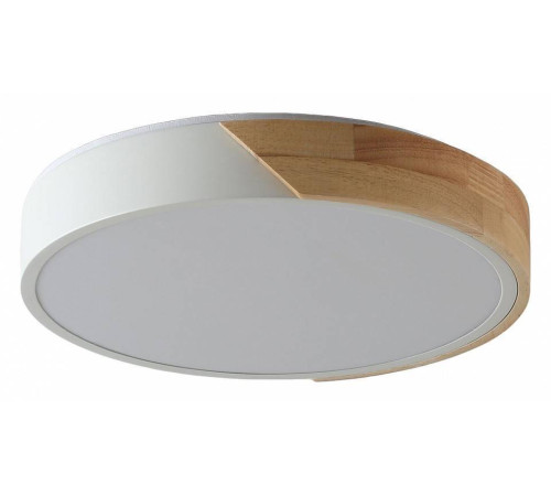 Накладной светильник Zortes ALBERRO ZRS.01239.90