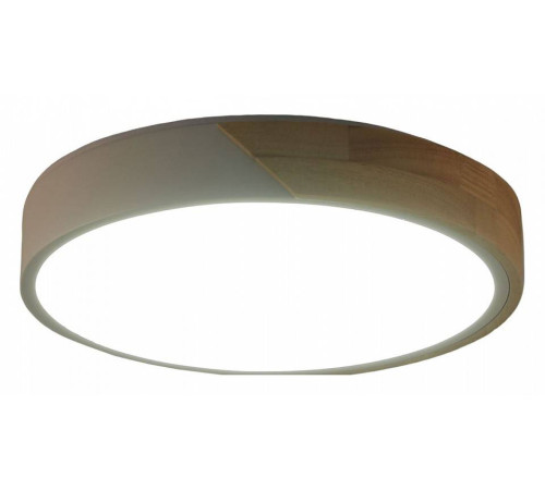 Накладной светильник Zortes ALBERRO ZRS.01239.90