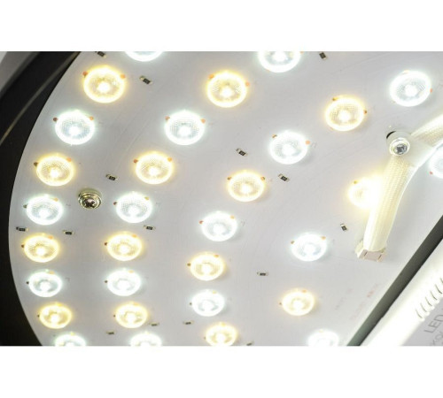 Подвесная люстра Zortes Aven ZRS.01243.01