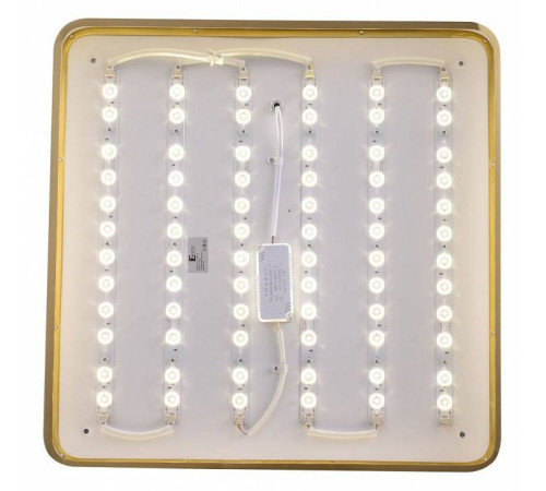 Накладной светильник Zortes Monna ZRS.1209.05