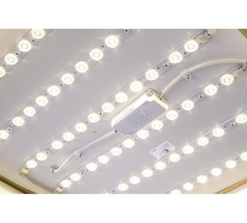 Накладной светильник Zortes Monna ZRS.1209.05