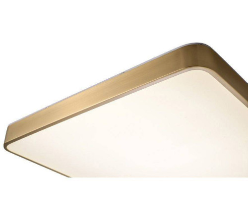 Накладной светильник Zortes Monna ZRS.1209.05