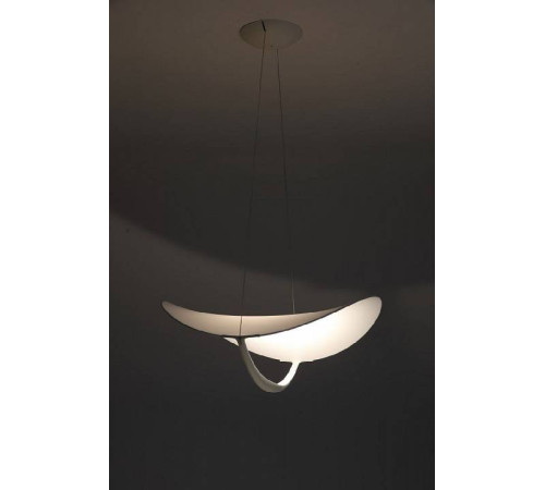 Подвесной светильник Zortes Quincy ZRS.1585.14