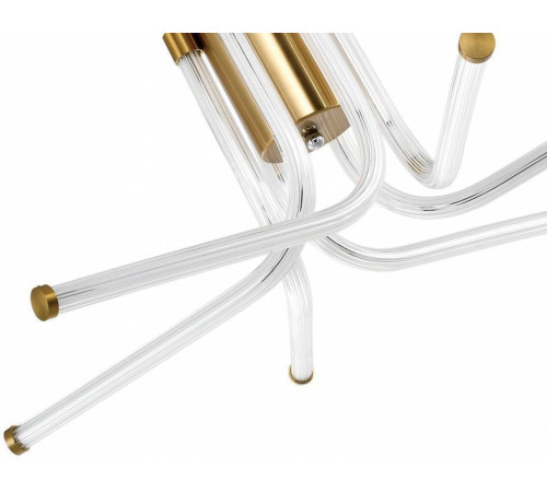 Потолочная люстра Zortes LORA ZRS.57784.06