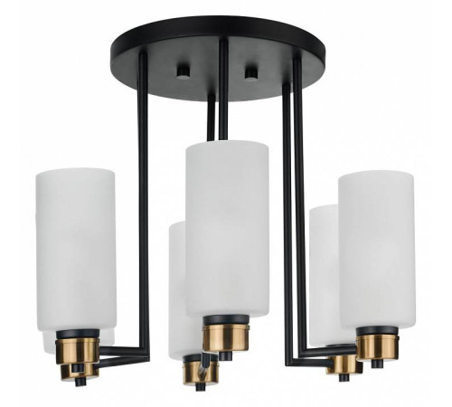 Потолочная люстра 33 идеи CHN900 CHN900.06.BL17.ASB-S16WH