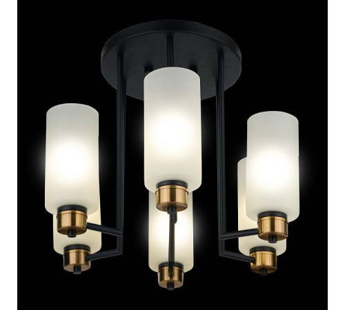 Потолочная люстра 33 идеи CHN900 CHN900.06.BL17.ASB-S16WH