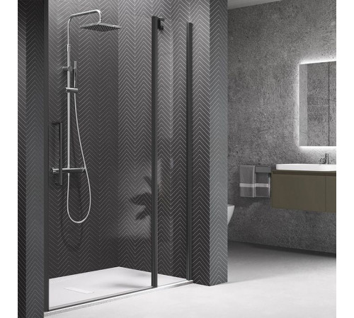 Душевая дверь Novellini Young 2P 117-121х200 см распашная с неподвижным сегментом черный Y22P117-1H