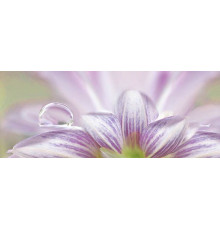 Декор Ceradim Lola 1 20х50 см КВС17Lola1