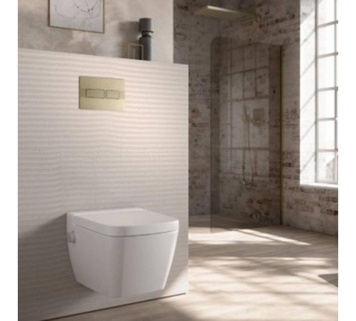 Панель смыва для унитаза TECE TECEsolid двойной смыв никель 9240437