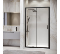 Душевая дверь RGW PA-14B 1200 мм черный 41081412-14