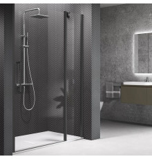 Душевая дверь Novellini Young 2P 97-101х200 см распашная с неподвижным сегментом черный Y22P97-1H