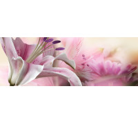 Декор Keros Calido Dance C 25х70 см х9999028462