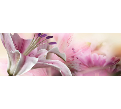 Декор Keros Calido Dance C 25х70 см х9999028462