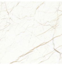 Керамогранит Laparet Europa Gold белый 60х60 см матовый карвинг 295349