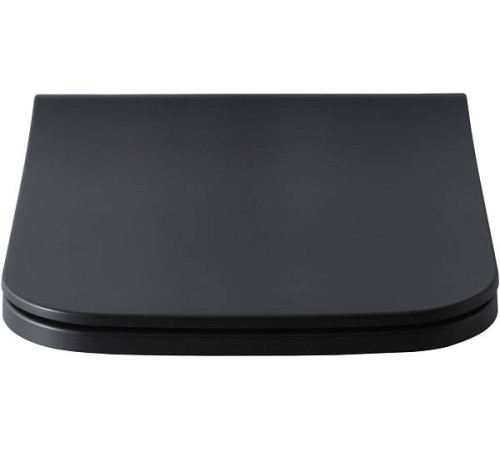 Крышка-сиденье для унитаза Allen Brau Infinity 36x44x4.5 см черный 4.21014.31