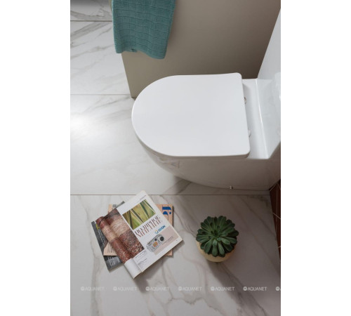 Унитаз напольный Aquanet Cetus 2.0 C1
