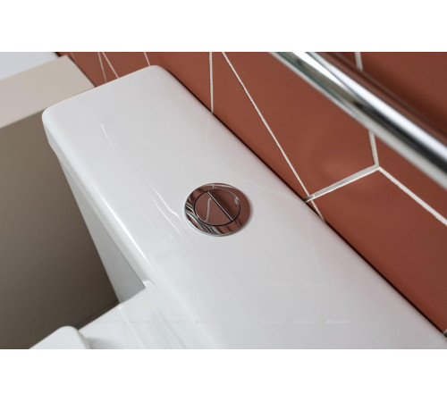 Унитаз напольный Aquanet Cetus 2.0 C1