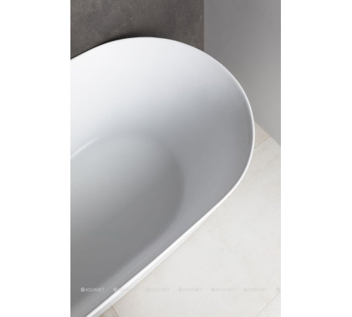 Ванна акриловая Allen Brau Priority 1 1700х800 мм свободностоящая белый матовый 2.31001.21