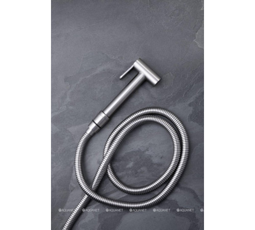 Гигиенический душ Allen Brau Priority брашированный никель 5.31028-BN