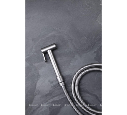 Гигиенический душ Allen Brau Priority брашированный никель 5.31028-BN