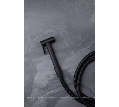 Гигиенический душ Allen Brau Priority черный матовый 5.31028-31