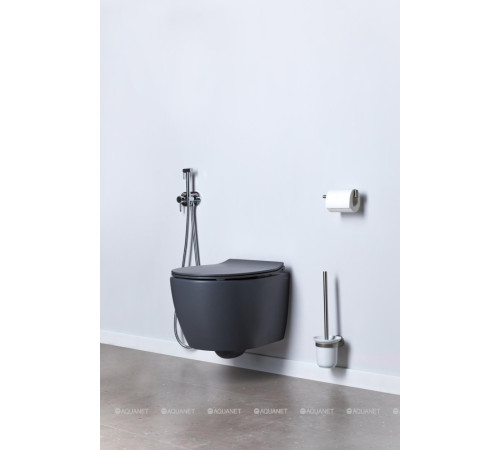 Сиденье для унитаза Allen Brau Fantasy Smartfix Soft-Close дюропласт антрацит 4.11005.AN