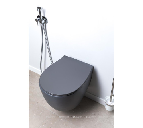 Сиденье для унитаза Allen Brau Fantasy Smartfix Soft-Close дюропласт антрацит 4.11005.AN