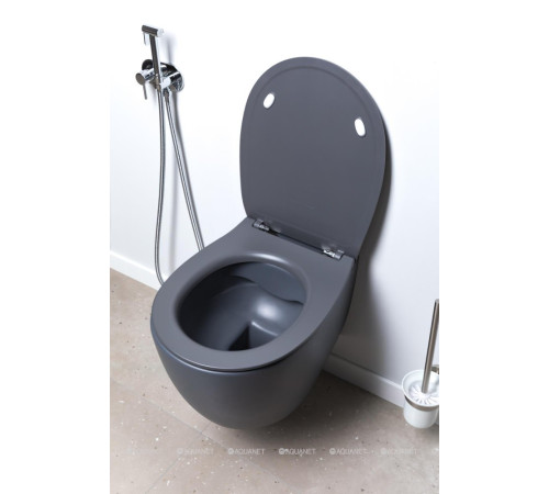 Сиденье для унитаза Allen Brau Fantasy Smartfix Soft-Close дюропласт антрацит 4.11005.AN