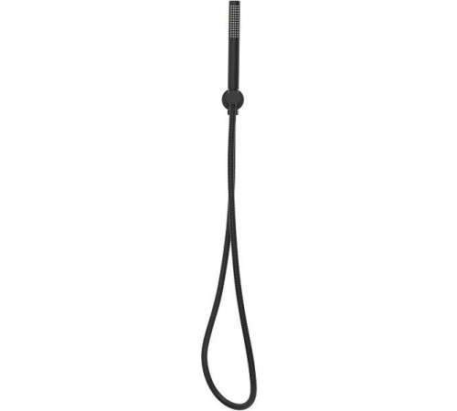 Душевой гарнитур Allen Brau Priority ручной душ с держателем и шлангом черный матовый 5.31019-31